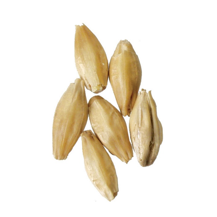 Briess Ashburne Mild